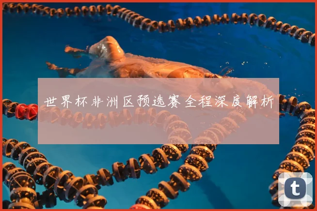世界杯非洲区预选赛全程深度解析