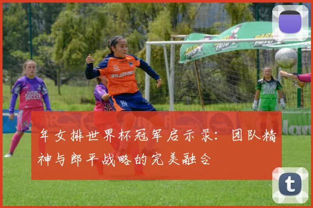 年女排世界杯冠军启示录：团队精神与郎平战略的完美融合