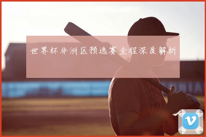 世界杯非洲区预选赛全程深度解析