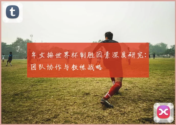 年女排世界杯制胜因素深度研究：团队协作与教练战略