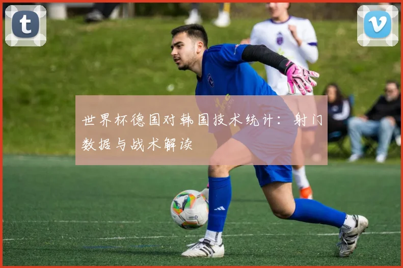 世界杯德国对韩国技术统计:射门数据与战术解读