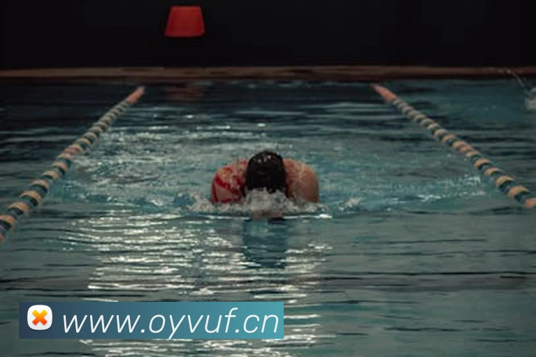 leyu乐鱼官方服务体系